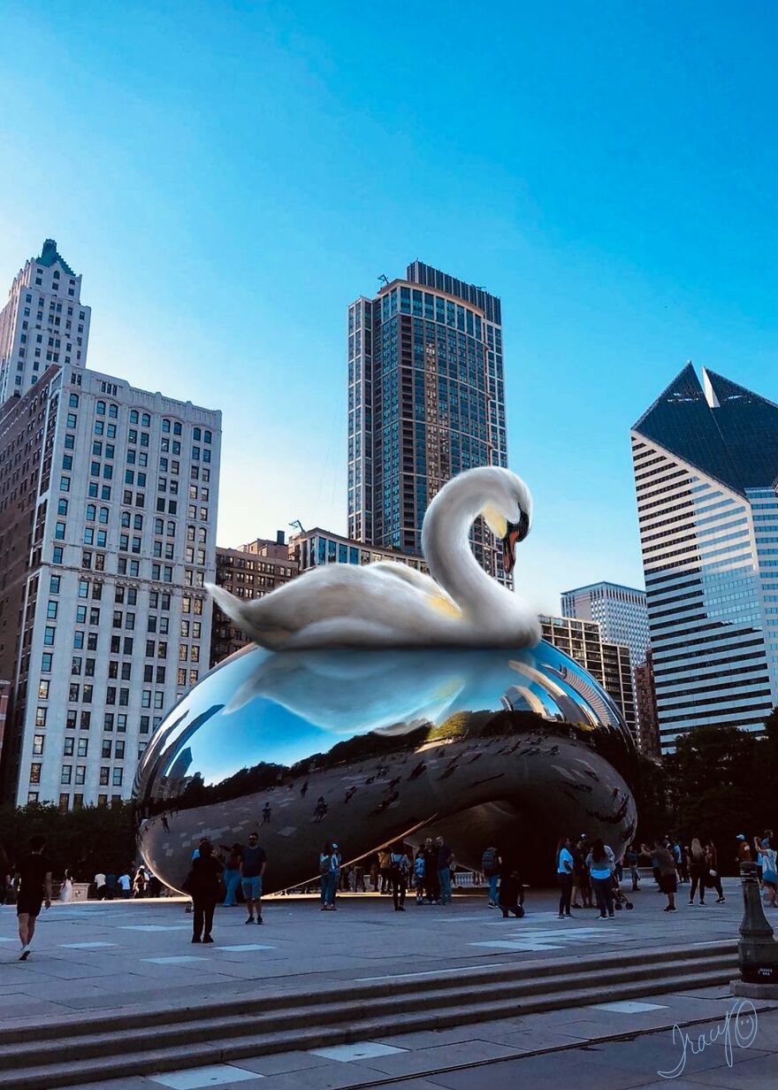 I Make Cute Art By Adding Drawn Animals To Random Photos (39 Pics)