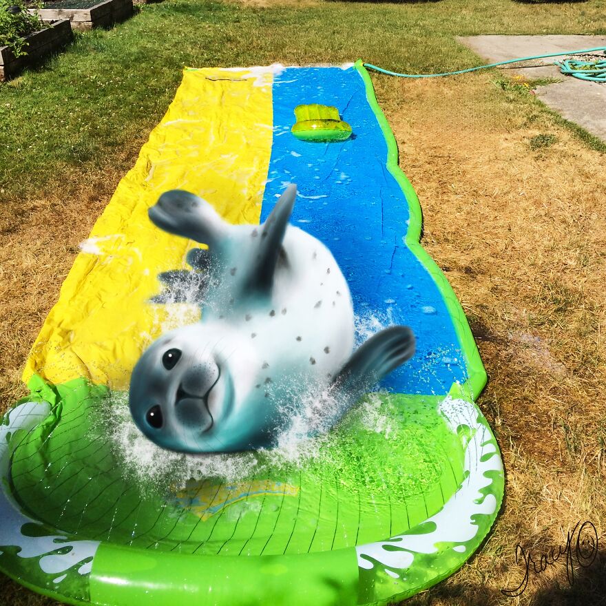 I Make Cute Art By Adding Drawn Animals To Random Photos (39 Pics)