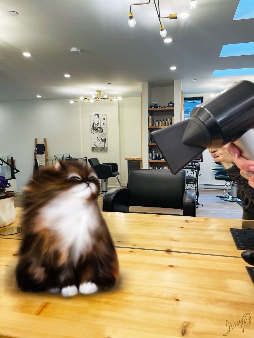 I Make Cute Art By Adding Drawn Animals To Random Photos (39 Pics)