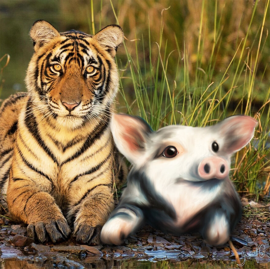 I Make Cute Art By Adding Drawn Animals To Random Photos (39 Pics)