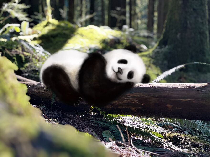 I Make Cute Art By Adding Drawn Animals To Random Photos (39 Pics)