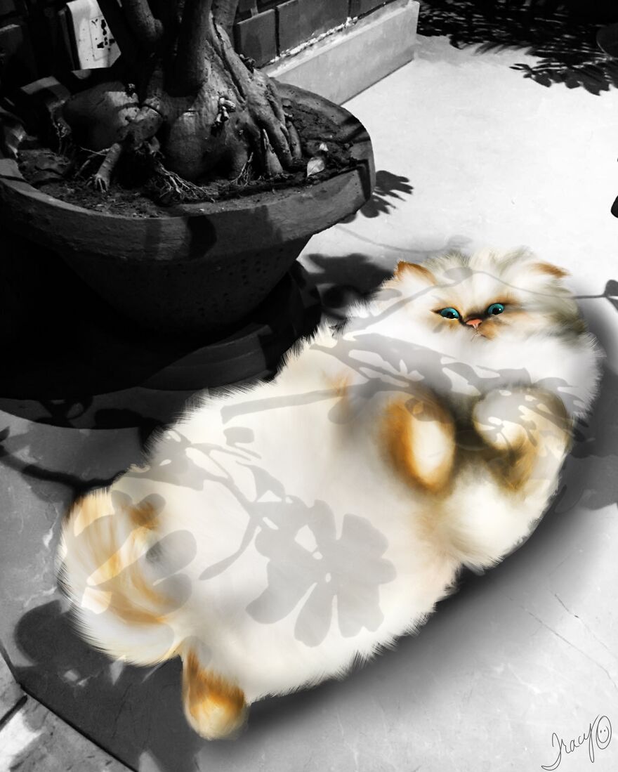 I Make Cute Art By Adding Drawn Animals To Random Photos (39 Pics)