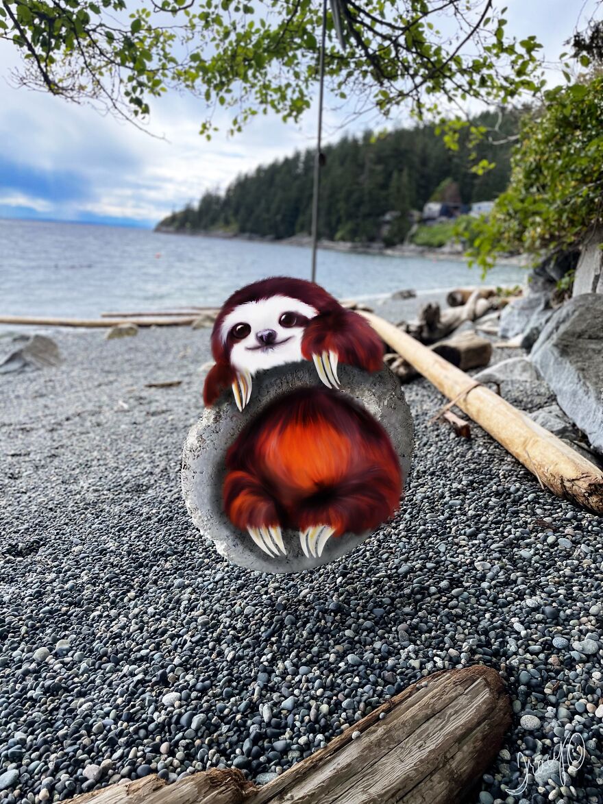 I Make Cute Art By Adding Drawn Animals To Random Photos (39 Pics)