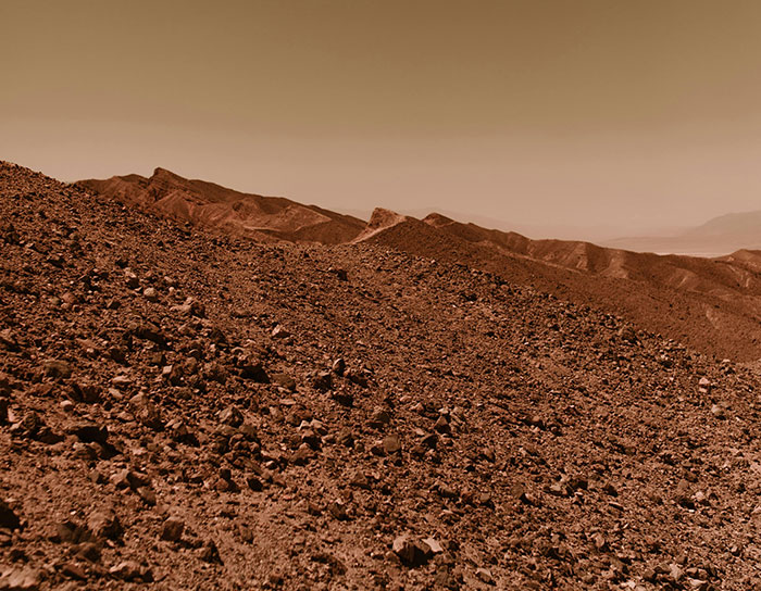 “Your Brain Just Ignores It”: 50 People Share The Most Ridiculous Fact They Know “Your Brain Just Ignores It”: 50 People Share The Most Ridiculous Fact They Know