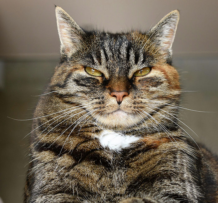 “Your Brain Just Ignores It”: 50 People Share The Most Ridiculous Fact They Know “Your Brain Just Ignores It”: 50 People Share The Most Ridiculous Fact They Know