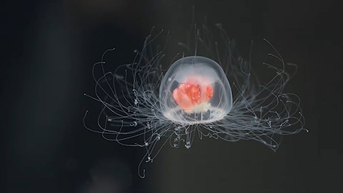 “Your Brain Just Ignores It”: 50 People Share The Most Ridiculous Fact They Know “Your Brain Just Ignores It”: 50 People Share The Most Ridiculous Fact They Know