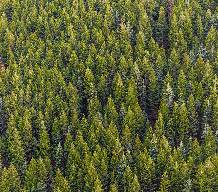 “Your Brain Just Ignores It”: 50 People Share The Most Ridiculous Fact They Know “Your Brain Just Ignores It”: 50 People Share The Most Ridiculous Fact They Know