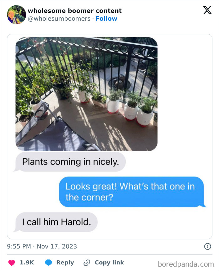 30 Delightfully Wholesome Boomer Moments That Melted The Internet’s Hearts, Shared On X (New Pics) 30 Delightfully Wholesome Boomer Moments That Melted The Internet’s Hearts, Shared On X (New Pics)