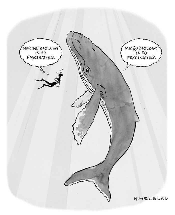 30 Hilarious One-Panel Comics By This Biology Professor 30 Hilarious One-Panel Comics By This Biology Professor