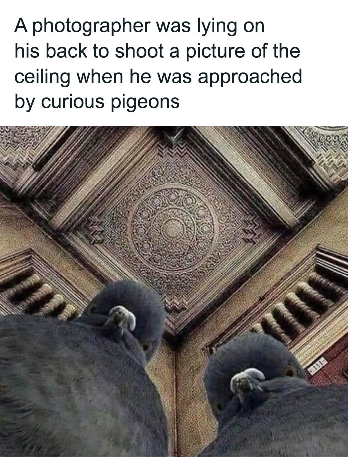 50 Hilarious Memes To Brighten Up Your Day 50 Hilarious Memes To Brighten Up Your Day