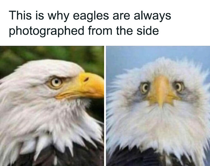 50 Hilarious Memes To Brighten Up Your Day 50 Hilarious Memes To Brighten Up Your Day