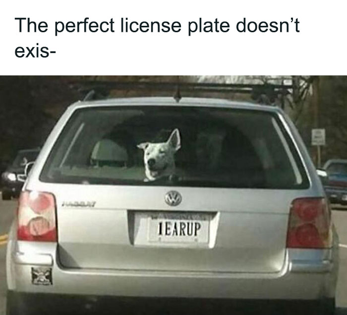 50 Hilarious Memes To Brighten Up Your Day 50 Hilarious Memes To Brighten Up Your Day