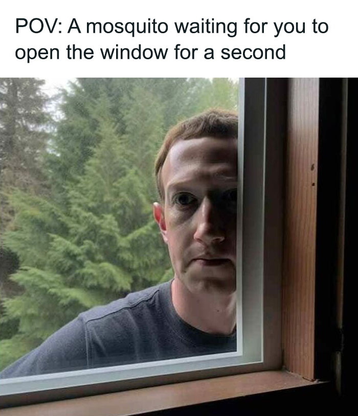 50 Hilarious Memes To Brighten Up Your Day 50 Hilarious Memes To Brighten Up Your Day