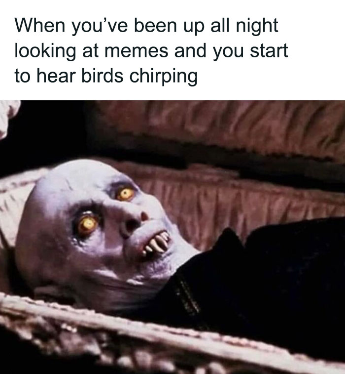 50 Hilarious Memes To Brighten Up Your Day 50 Hilarious Memes To Brighten Up Your Day