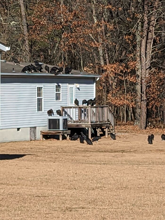 30 Unhinged Pics That Ended Up On This Online Group, Dedicated To The Weird And Questionable (New Pics) 30 Unhinged Pics That Ended Up On This Online Group, Dedicated To The Weird And Questionable (New Pics)