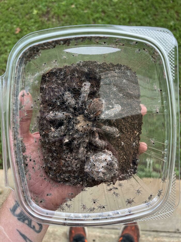 30 Unhinged Pics That Ended Up On This Online Group, Dedicated To The Weird And Questionable (New Pics)