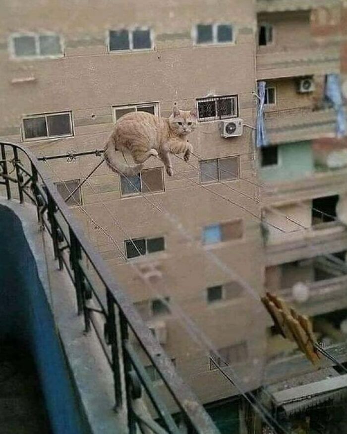 30 Unhinged Pics That Ended Up On This Online Group, Dedicated To The Weird And Questionable (New Pics)