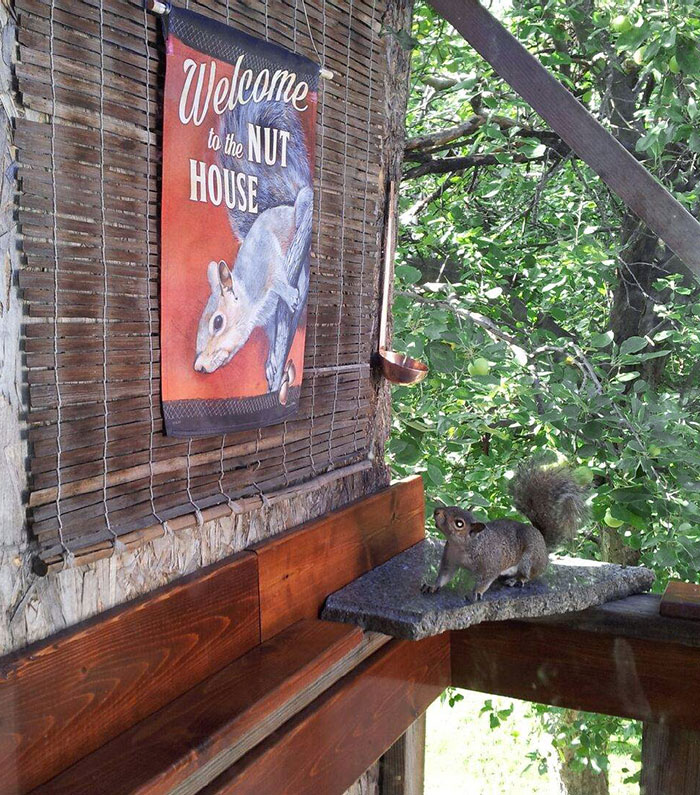 50 Wholesome Photos Of Dads Sharing Their Father’s Day Gifts 50 Wholesome Photos Of Dads Sharing Their Father’s Day Gifts