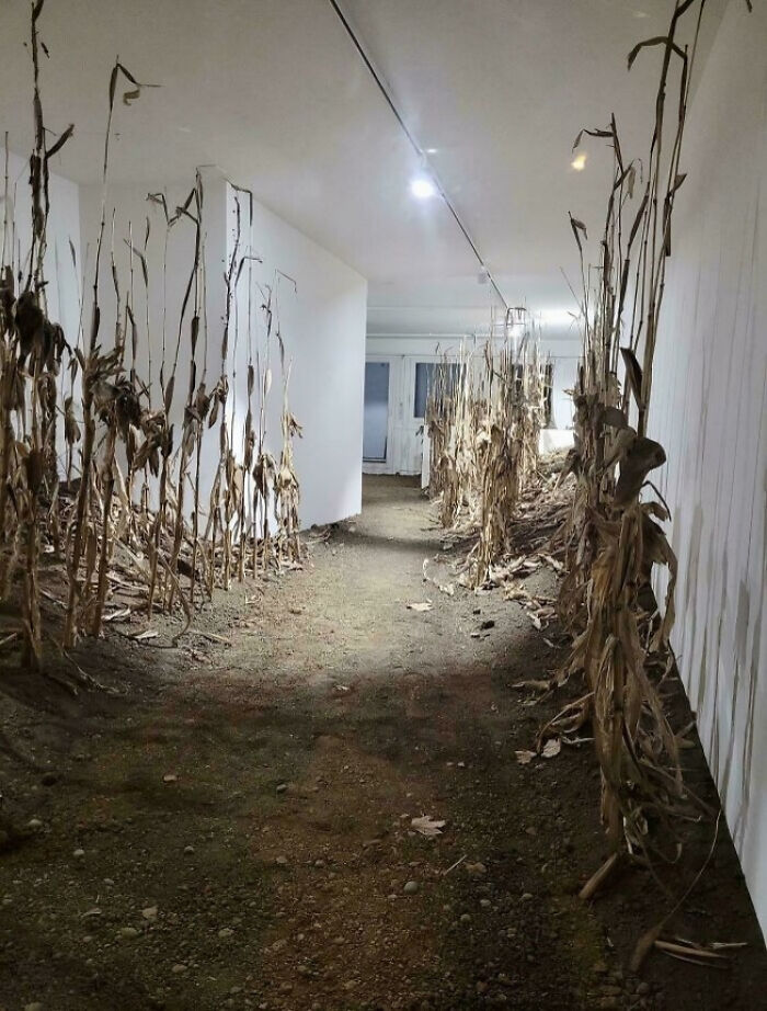 50 Hilarious Posts Of Ridiculous Home Decor And DIY With Funny Sarcastic Commentary 50 Hilarious Posts Of Ridiculous Home Decor And DIY With Funny Sarcastic Commentary