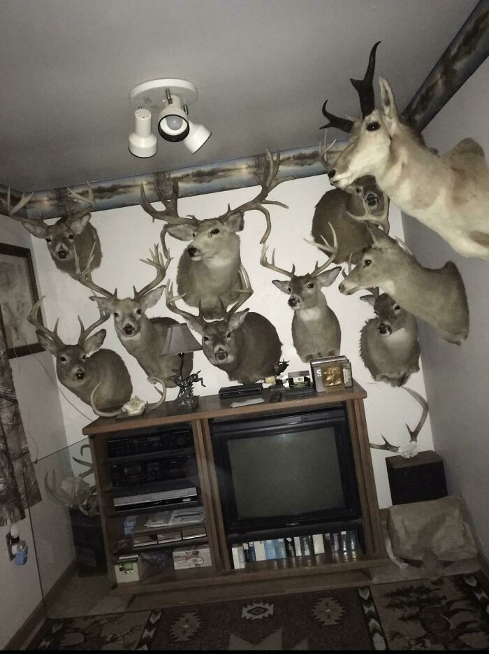 50 Hilarious Posts Of Ridiculous Home Decor And DIY With Funny Sarcastic Commentary 50 Hilarious Posts Of Ridiculous Home Decor And DIY With Funny Sarcastic Commentary