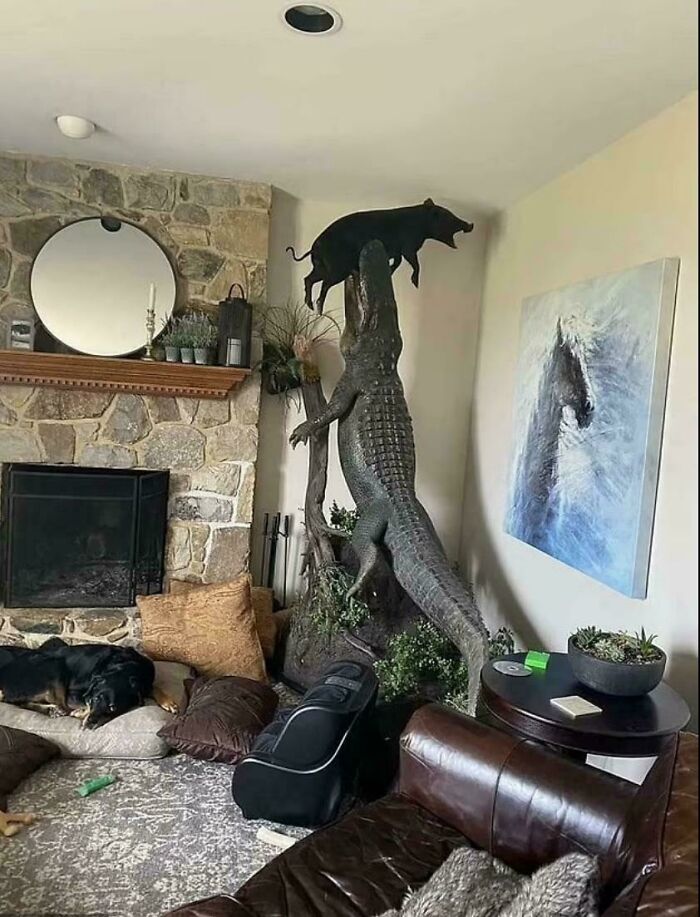 50 Hilarious Posts Of Ridiculous Home Decor And DIY With Funny Sarcastic Commentary 50 Hilarious Posts Of Ridiculous Home Decor And DIY With Funny Sarcastic Commentary