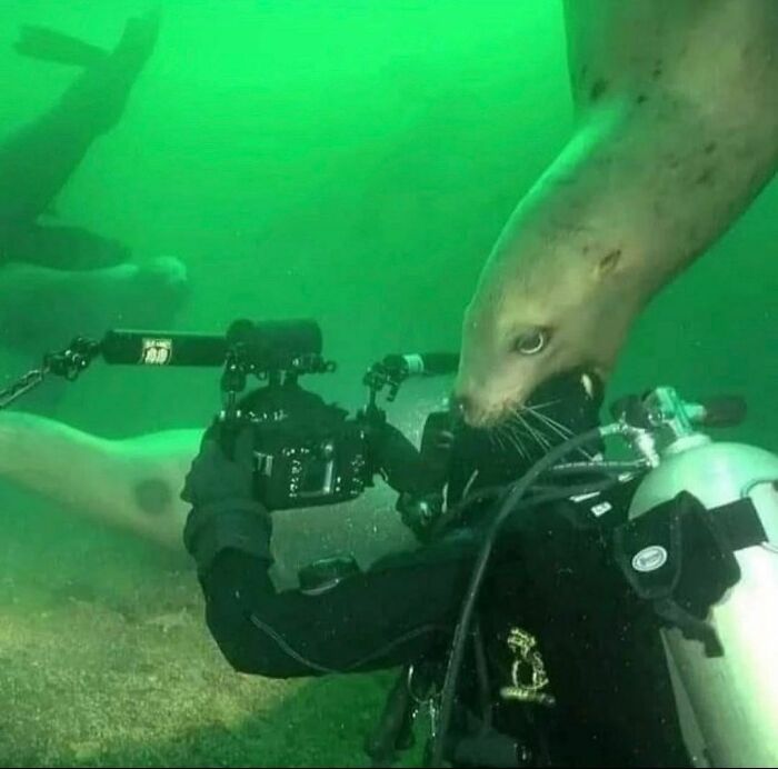 50 Animals Going “Goblin Mode”, As Shared By This Dedicated Instagram Account 50 Animals Going “Goblin Mode”, As Shared By This Dedicated Instagram Account