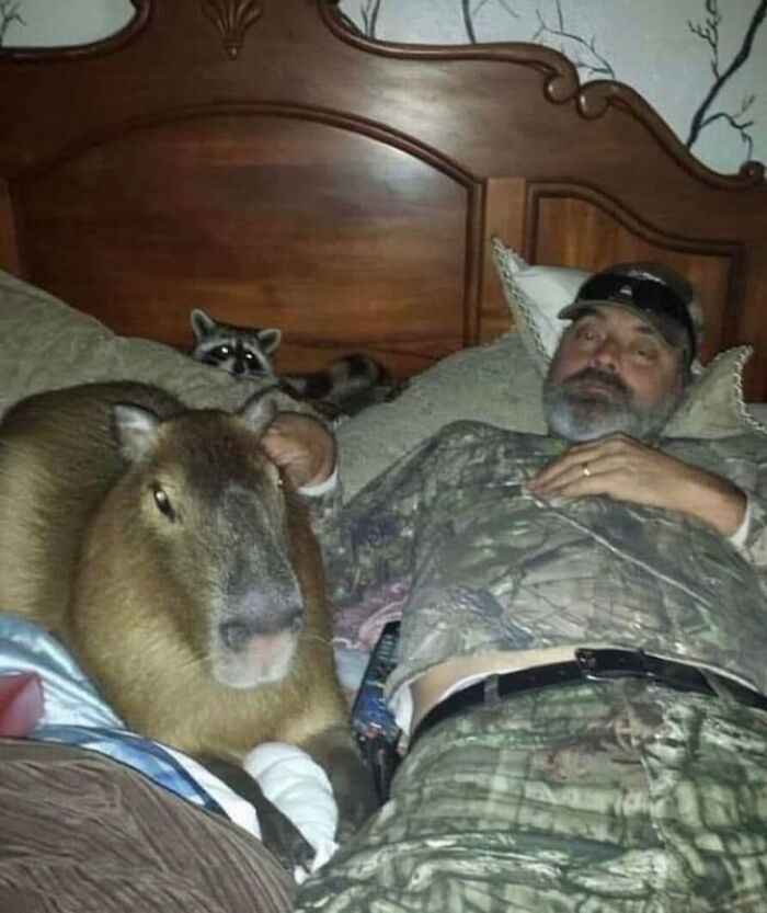 50 Animals Going “Goblin Mode”, As Shared By This Dedicated Instagram Account 50 Animals Going “Goblin Mode”, As Shared By This Dedicated Instagram Account