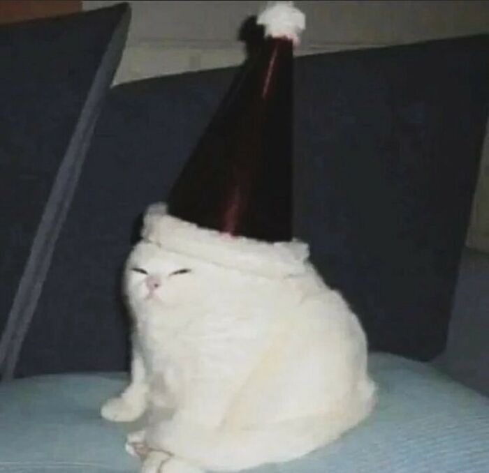 50 Animals Going “Goblin Mode”, As Shared By This Dedicated Instagram Account 50 Animals Going “Goblin Mode”, As Shared By This Dedicated Instagram Account