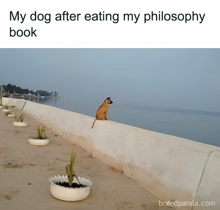 If You Are Going Through An Existential Crisis, These 50 Funny Philosophical Memes Might Help If You Are Going Through An Existential Crisis, These 50 Funny Philosophical Memes Might Help