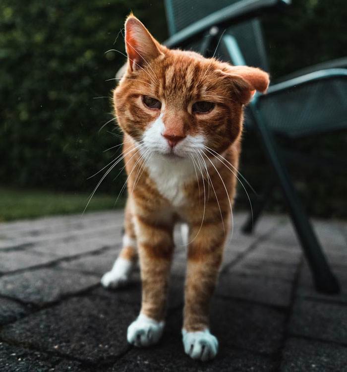 30 Secrets These People Make Sure Their Parents Will Never Know 30 Secrets These People Make Sure Their Parents Will Never Know