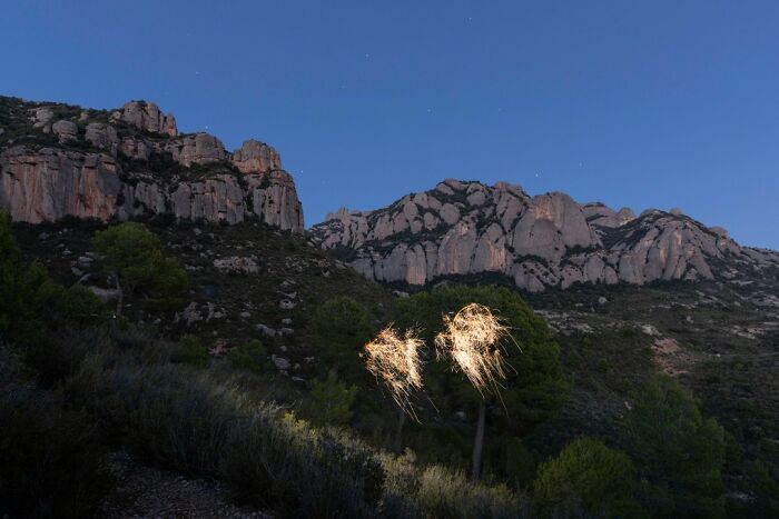 Photographer Captured 35 Enchanting Pictures Of Trees Filled With Sparkles Of Light Photographer Captured 35 Enchanting Pictures Of Trees Filled With Sparkles Of Light