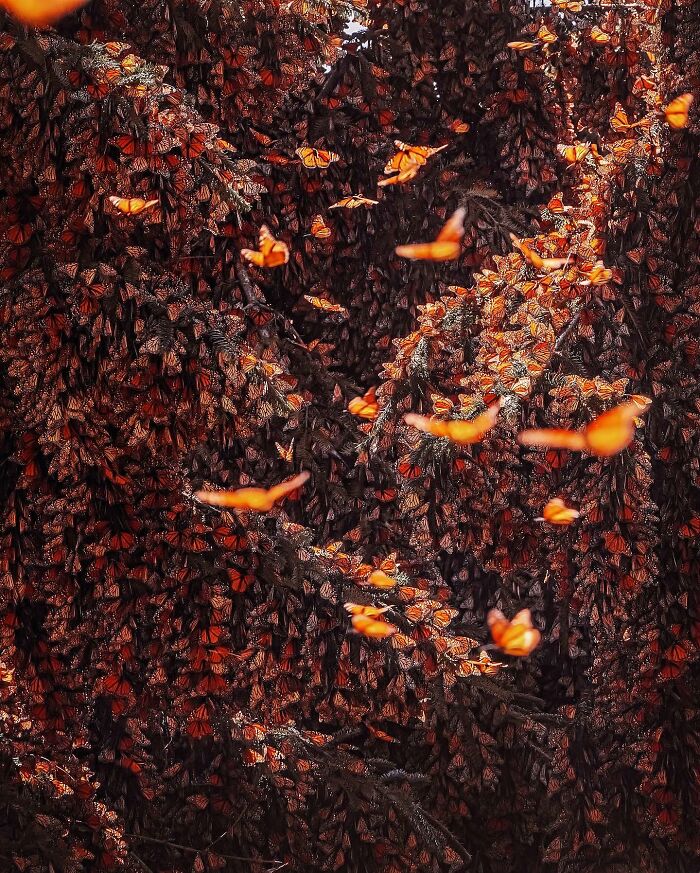 Stunning Shots Of Beautiful And Unusual Places Around The Globe By This Photographer (29 Pics) Stunning Shots Of Beautiful And Unusual Places Around The Globe By This Photographer (29 Pics)