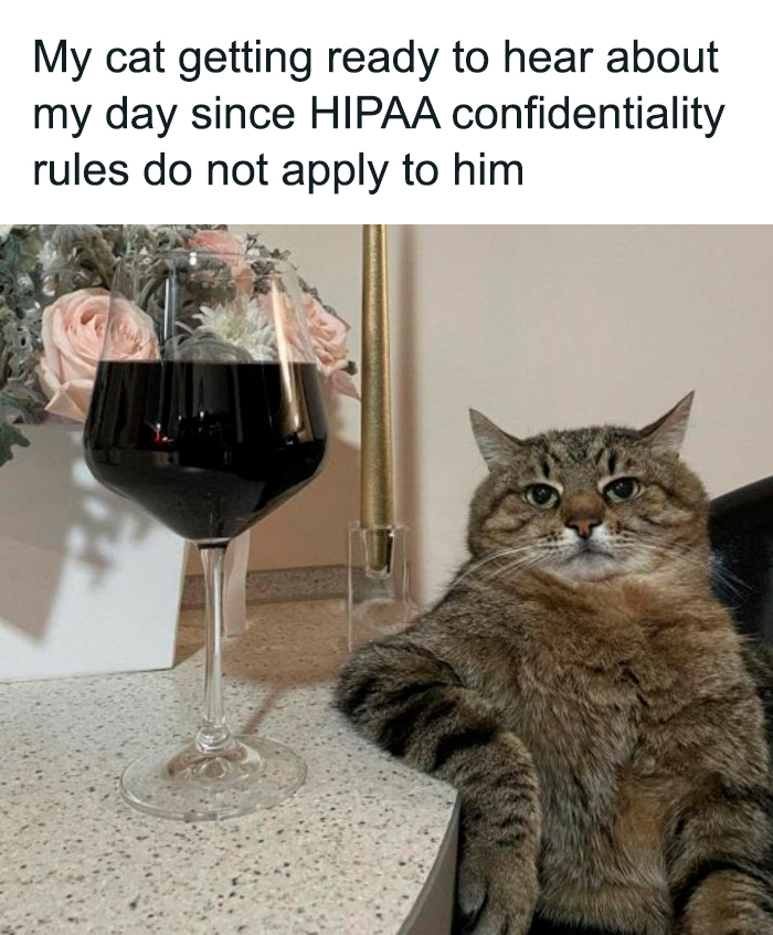 If You’re Having A Rough Day, These 50 Wholesome Cat Pics And Memes May Cheer You Up