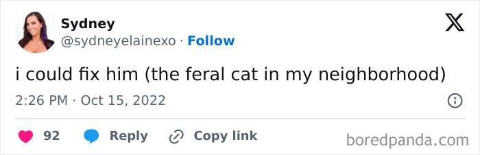 If You’re Having A Rough Day, These 50 Wholesome Cat Pics And Memes May Cheer You Up