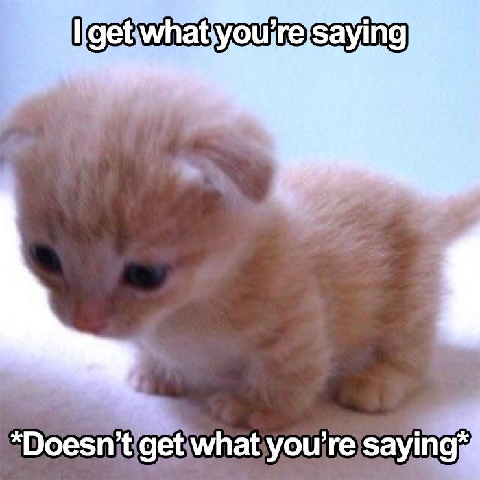 If You’re Having A Rough Day, These 50 Wholesome Cat Pics And Memes May Cheer You Up