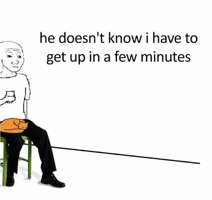 If You’re Having A Rough Day, These 50 Wholesome Cat Pics And Memes May Cheer You Up