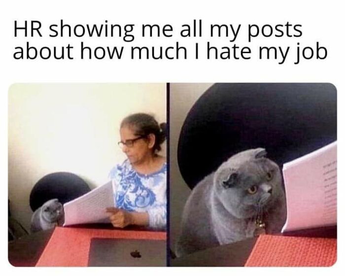 If You’re Having A Rough Day, These 50 Wholesome Cat Pics And Memes May Cheer You Up