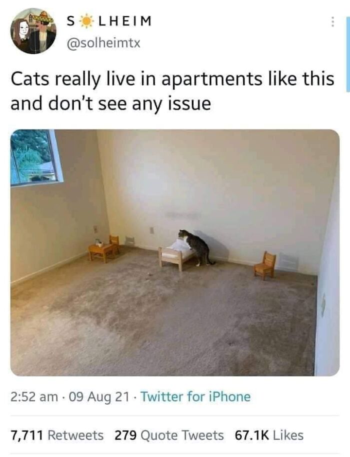 If You’re Having A Rough Day, These 50 Wholesome Cat Pics And Memes May Cheer You Up