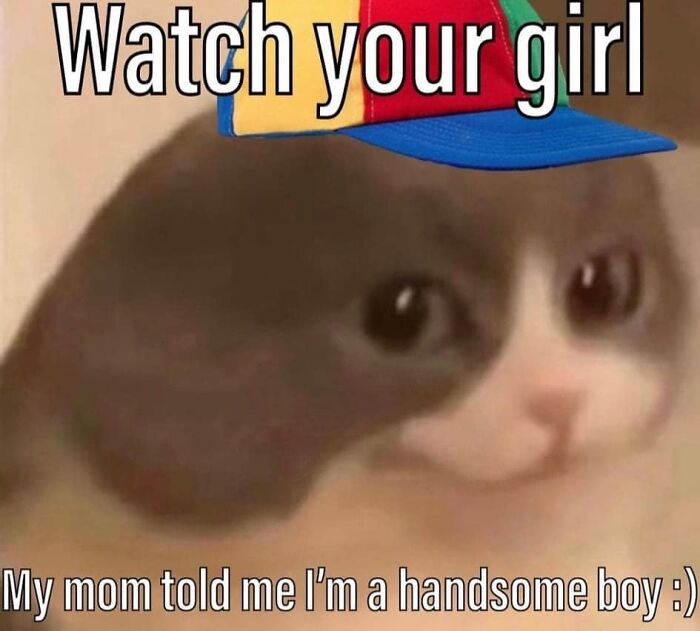 If You’re Having A Rough Day, These 50 Wholesome Cat Pics And Memes May Cheer You Up