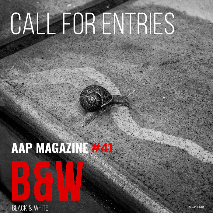 “Black And White”: We Are Inviting You To Participate In A Photo Contest “Black And White”: We Are Inviting You To Participate In A Photo Contest