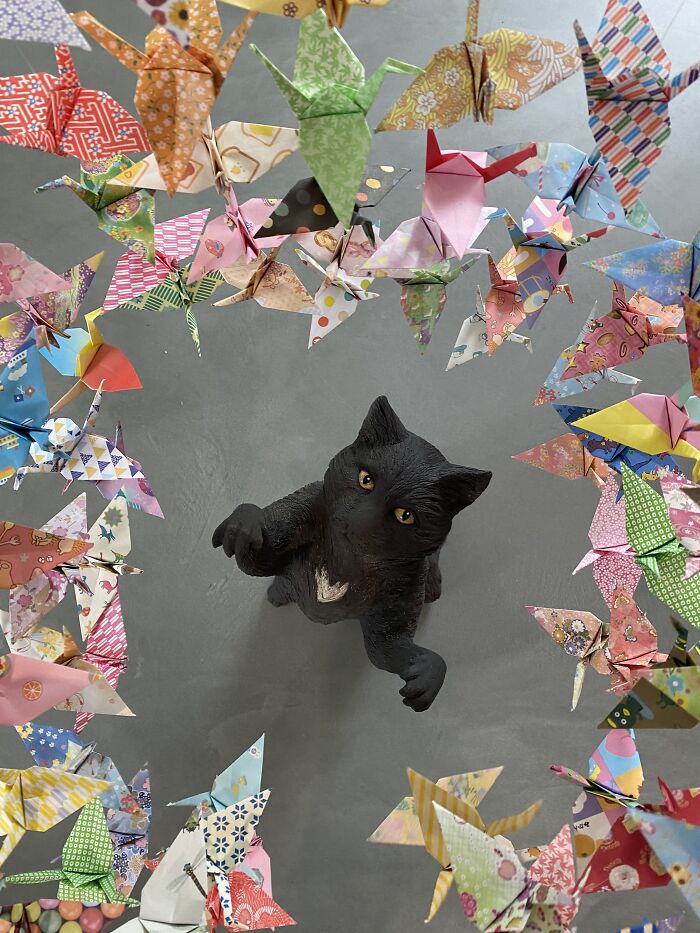 I Am Curating The Cat Art Show 2024, And Here Are Some Of The Works I Am Curating The Cat Art Show 2024, And Here Are Some Of The Works