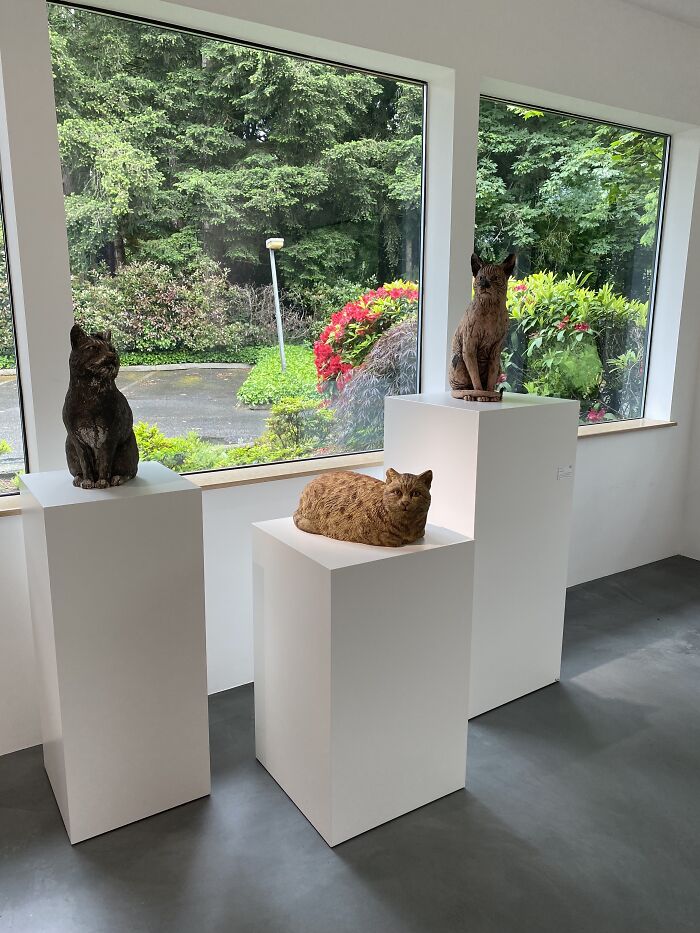 I Am Curating The Cat Art Show 2024, And Here Are Some Of The Works I Am Curating The Cat Art Show 2024, And Here Are Some Of The Works