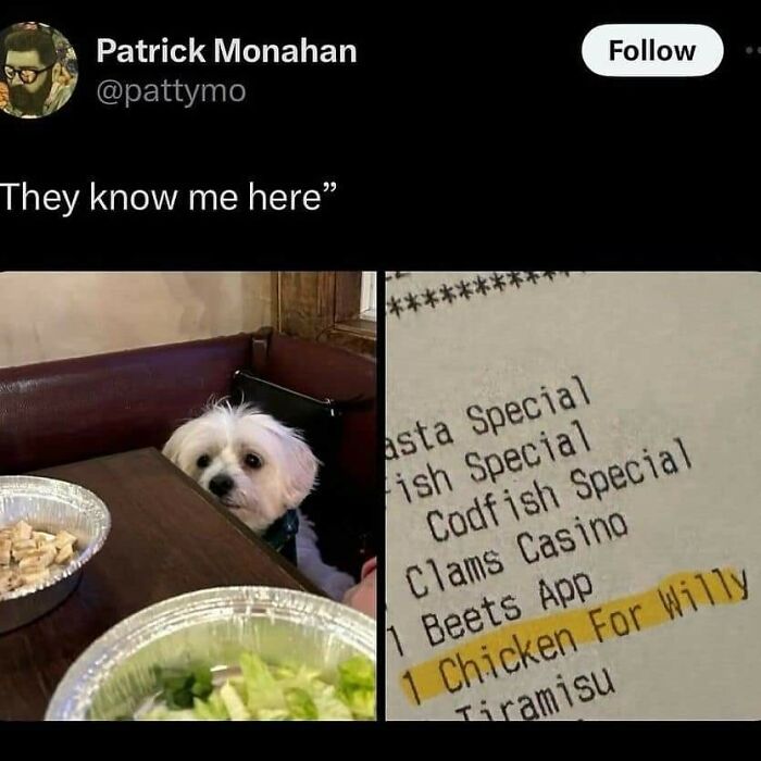 ‘Animals With Vibing Auras’: 50 Hilarious Pics Of Creatures Doing Random Things ‘Animals With Vibing Auras’: 50 Hilarious Pics Of Creatures Doing Random Things