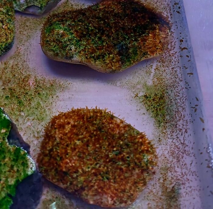 Saving Oceanic Wildlife In My 11 Photos Saving Oceanic Wildlife In My 11 Photos