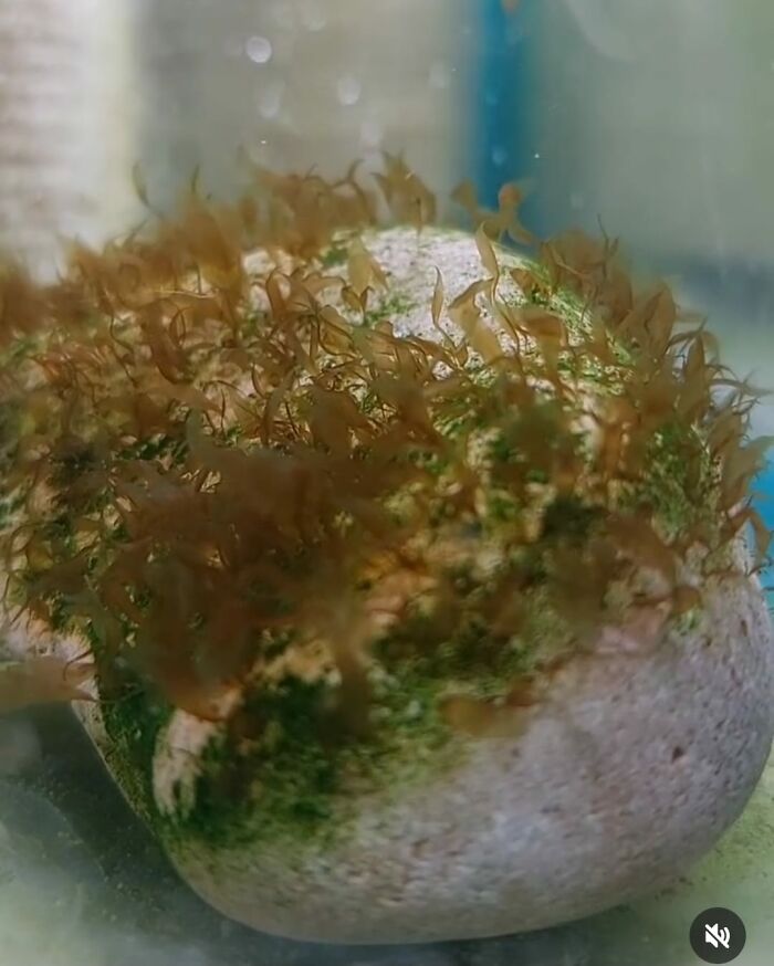 Saving Oceanic Wildlife In My 11 Photos Saving Oceanic Wildlife In My 11 Photos