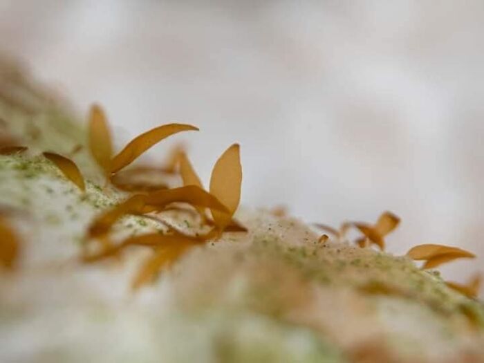 Saving Oceanic Wildlife In My 11 Photos Saving Oceanic Wildlife In My 11 Photos