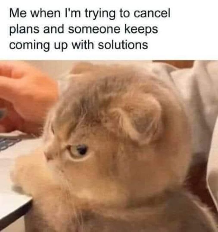 50 Memes To Send To Those Who Don’t Really Like Other People 50 Memes To Send To Those Who Don’t Really Like Other People