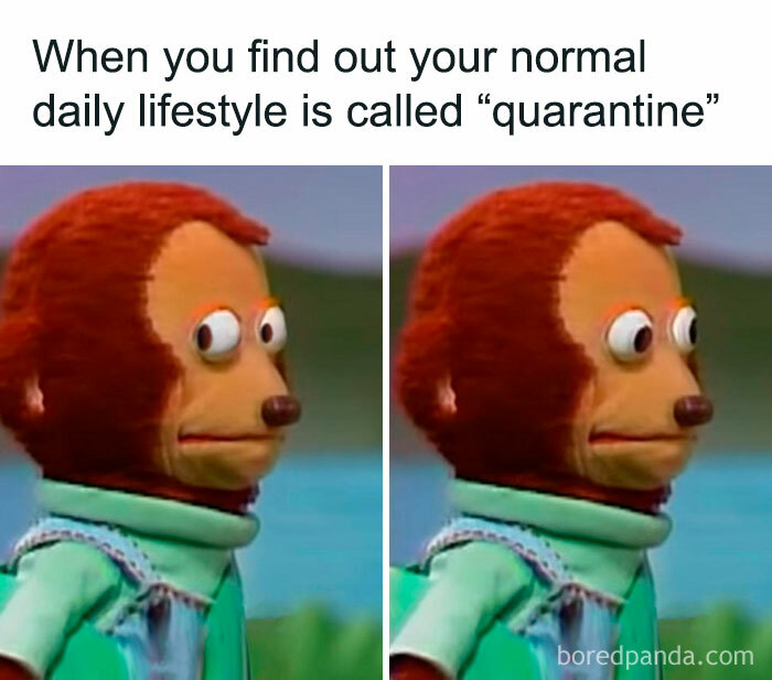 50 Memes To Send To Those Who Don’t Really Like Other People 50 Memes To Send To Those Who Don’t Really Like Other People