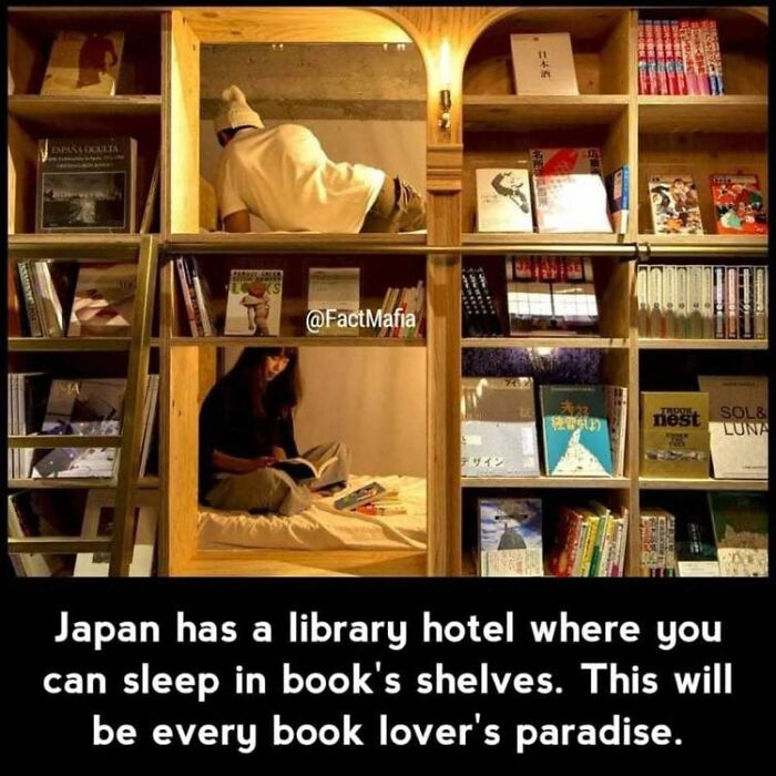 50 Memes To Send To Those Who Don’t Really Like Other People 50 Memes To Send To Those Who Don’t Really Like Other People