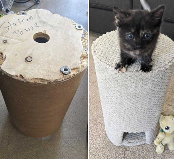 50 Times People Saw Such Creative Zero-Waste Ideas They Just Had To Share